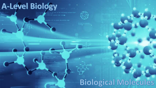 A Level Biological Molecules