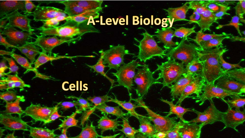 A Level Biology Cells