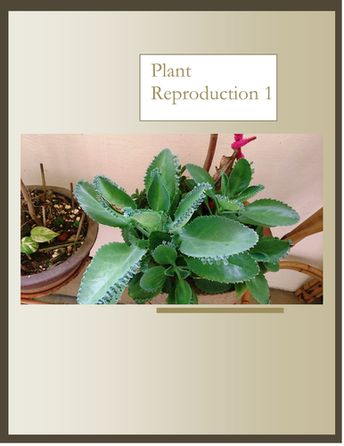 IGCSE Revision Plant reproduction 1.