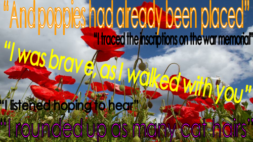 Poppies Key Quote Poster
