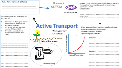 Active transport Revision sheet/ mat/ worksheet- AQA 9-1 Biology Cell transport