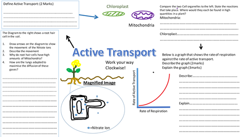 Active transport Revision sheet / mat Diffusion Revision Worksheet  - AQA 9-1 Biology Cell transport