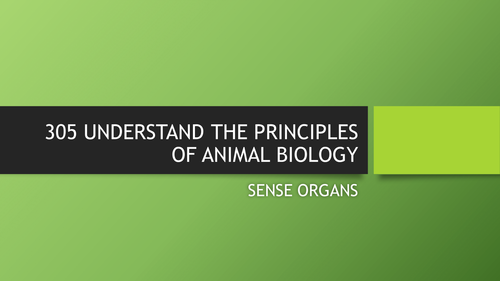 Sense Organs and The Eye