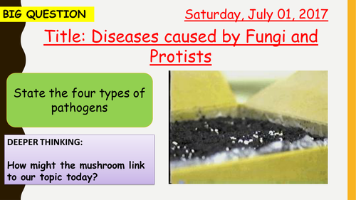 AQA new specification-Diseases caused by fungi and protists-B5.8