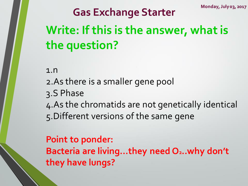 Surface area to volume ration and Gas exchange in insects. A Level Biology, AQA 7401/7402