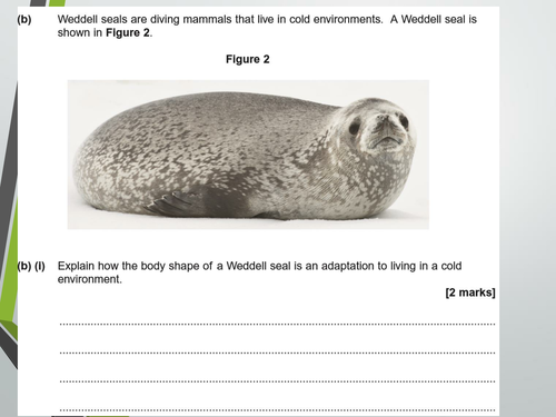 Gas exchange in fish. A Level Biology, AQA, 7401/7402
