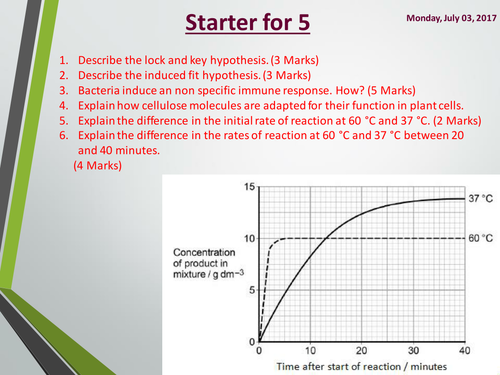 Gas exchange in plants. A Level Biology, AQA, 7401/7402