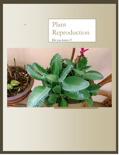 Plant reproduction 3