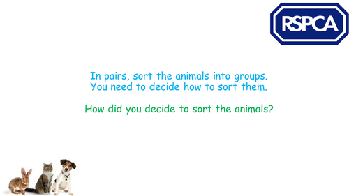 RSPCA Class that Cares Lessons 5 and 6