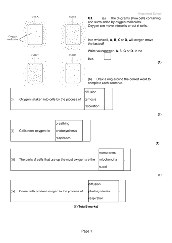 Cell Transport Lower demand questions and answers