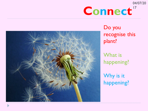 KS3 lesson on seed dispersal