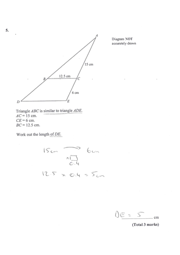 Spot the Mistakes Similar Shapes