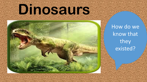 Fossil and amber ppt with activities