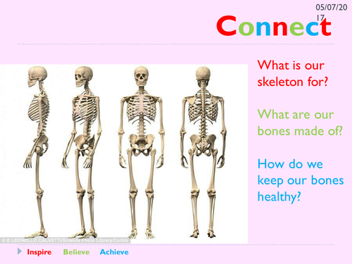 KS3 Skeleton lesson