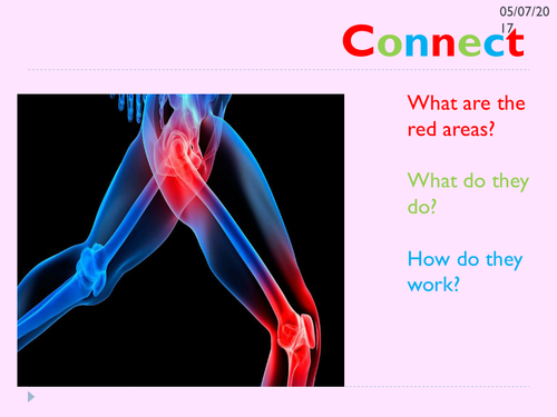 KS3 movements and joints lesson