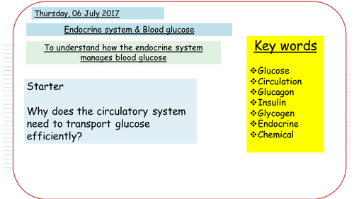 Endocrine system NEW AQA GCSE