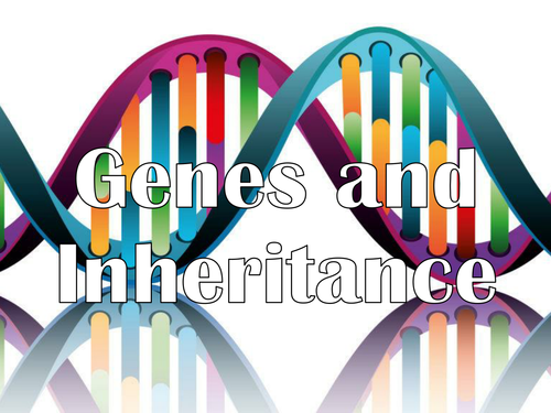 AQA A Level - Genes and Inheritance