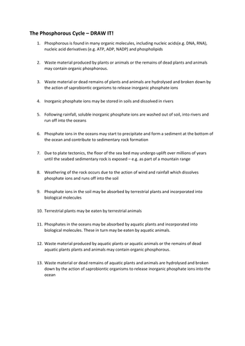 The Phosphorous Cycle - Draw It!