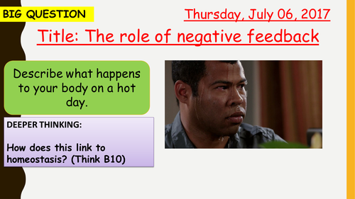 AQA new specification-The role of negative feedback-B11.4