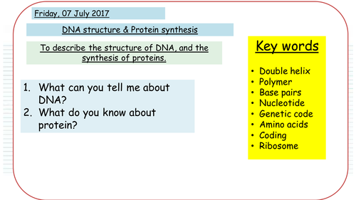 DNA structure & Protein synthesis - New AQA GCSE