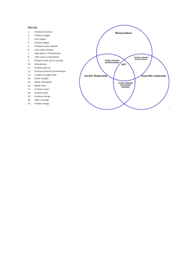 Aerobic respiration, Anaerobic respiration and photosynthesis