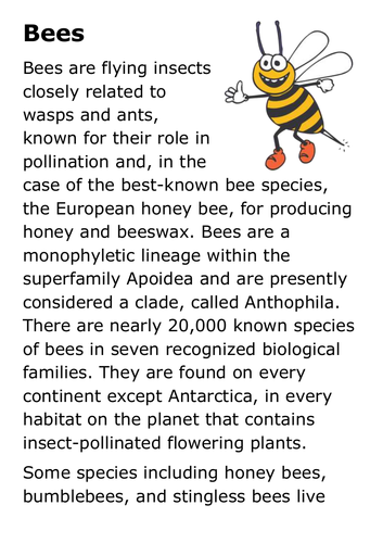 Bees Handout