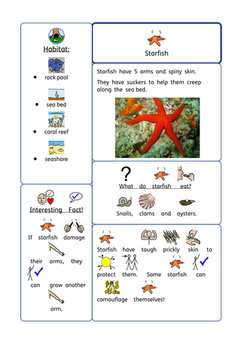 Seaside topic, rainbow fish, KS1, SEN, ASD, autism