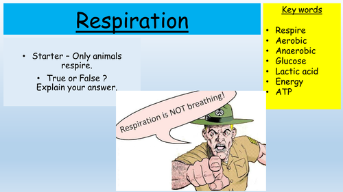 Aerobic respiration - NEW AQA GCSE