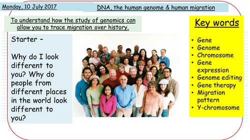 DNA, Human genome & Migration - NEW AQA GCSE