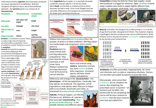 Evolution and Variation Knowledge Organiser