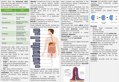 KS3 Breathing and Digestion Knowledge Organiser