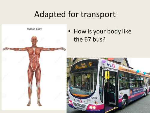 adapted for transport