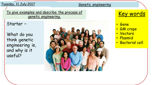 Genetic engineering - NEW AQA GCSE