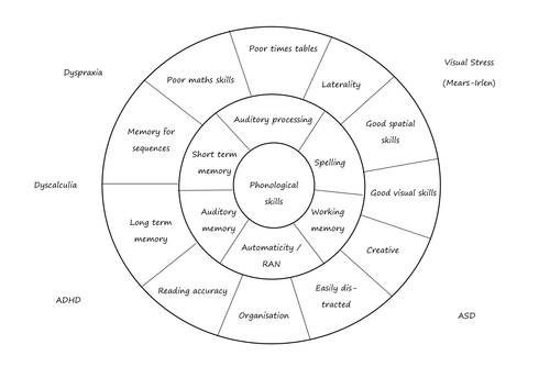 Dyslexia assessment wheel