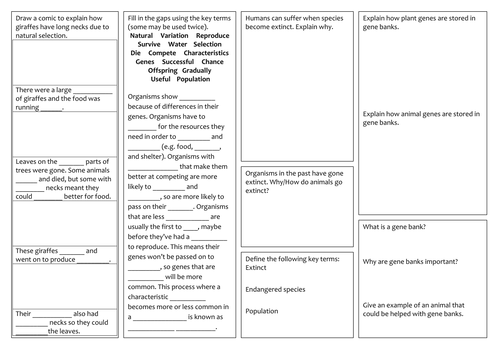 KS3 Natural selection, extinction and preserving species revision mat