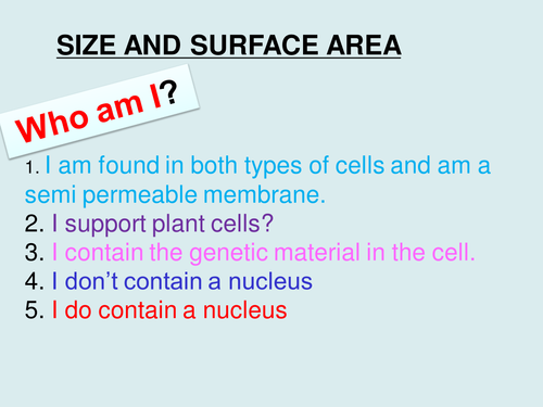 Surface area and control surfaces