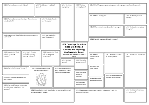 Cardiovascular System Revision Broadsheet  Anatomy and Physiology Unit 4 Cambridge Technicals  2016