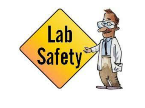 Lab Rules