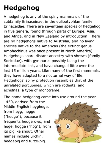 Hedgehog Handout