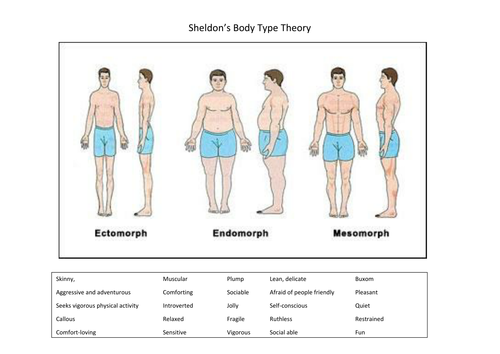 Sheldon Body Type Matching Activity - GCSE/Level 2 Criminology ...