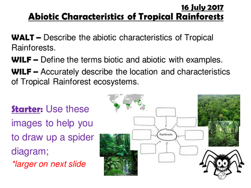 EDEXCEL A; ECOSYSTEMS; Abiotic Characteristics of Tropical Rainforests