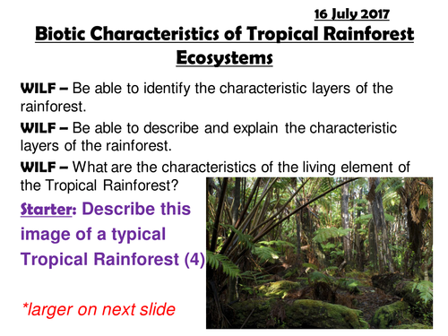 Edexcel A Ecosystems Biotic Characteristics Of Tropical Rainforests Plants Teaching Resources 9472