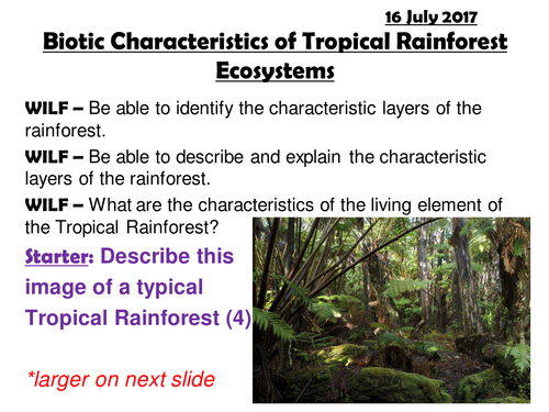 EDEXCEL A; ECOSYSTEMS; Biotic Characteristics of Tropical Rainforests - plants