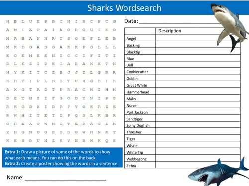 Sharks Wordsearch Starter Activity Fish Animals Homework Cover Lesson Plenary