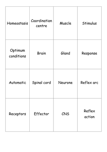 B5 Homeostasis and Response Key Word Revision Cards AQA Biology 2016 higher and foundation