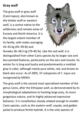 Gray wolf Handout