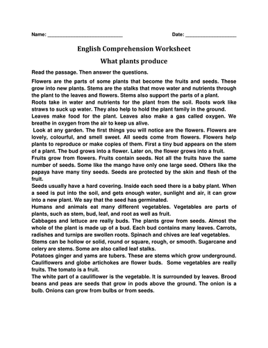 English Comprehension Worksheet 'What Plants Produce'
