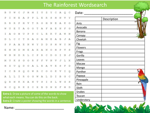 The Rainforest Wordsearch Starter Activity Rain Forest Homework Cover Lesson Plenary