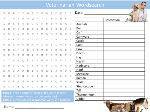 Veterinarian Wordsearch Starter Activity Vet Jobs Careers Homework Cover Lesson Plenary