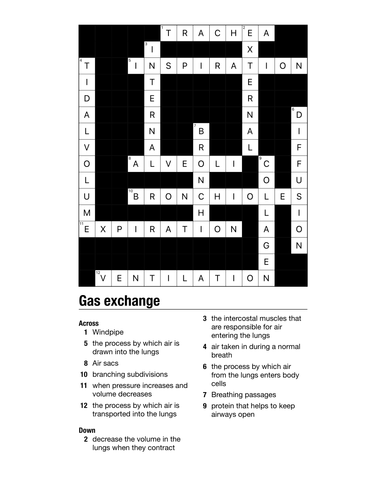 Gas exchange crossword Teaching Resources